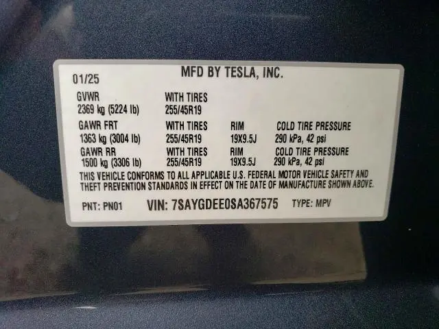 2025 TESLA MODEL Y   