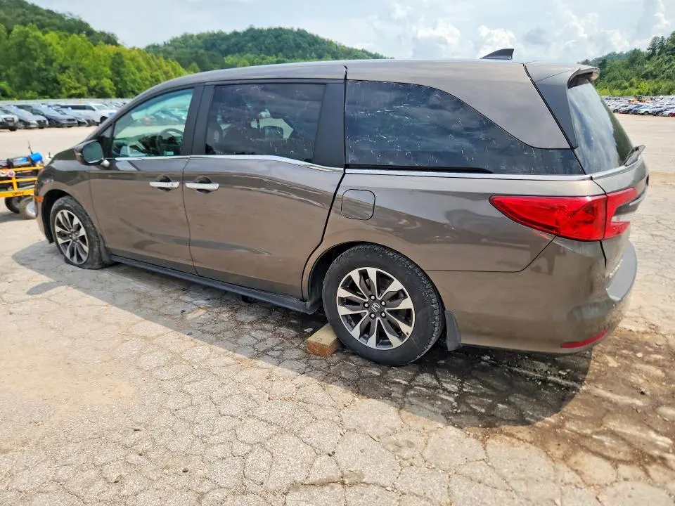 2022 HONDA ODYSSEY   