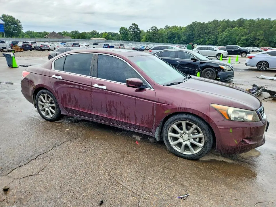 2010 HONDA ACCORD EXL  