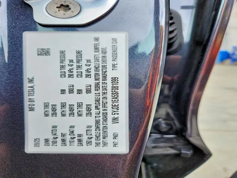 2025 TESLA MODEL 3   
