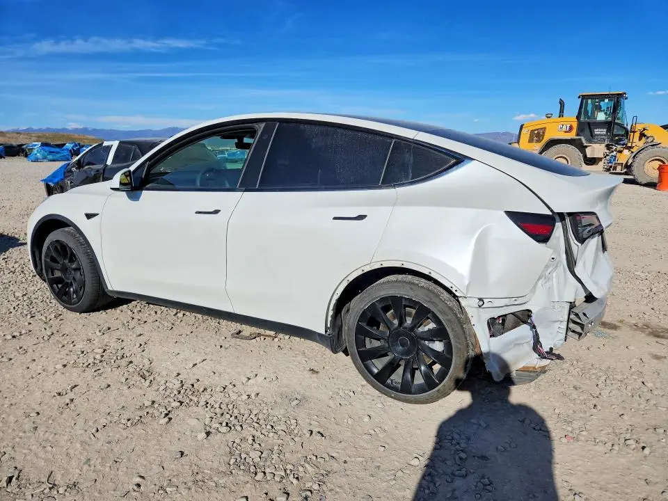 2021 TESLA MODEL Y   