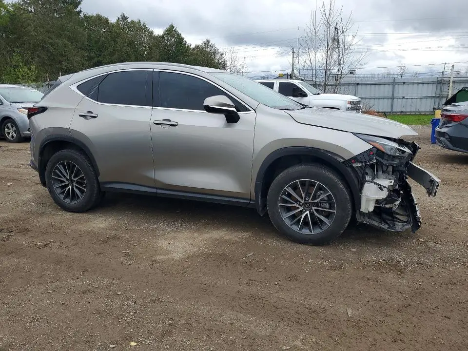 2023 LEXUS NX 250  