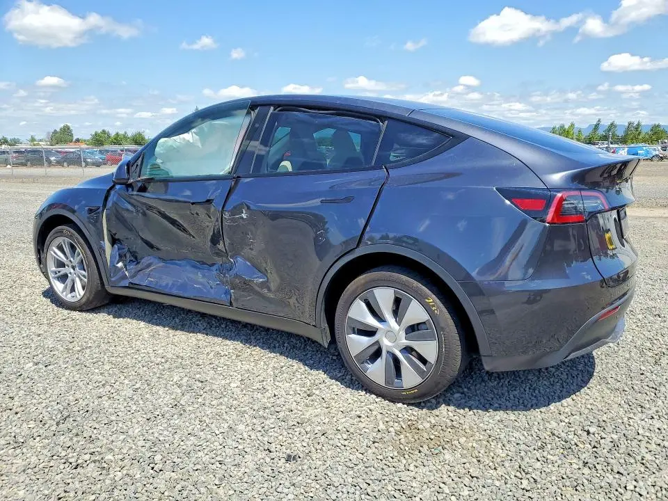 2024 TESLA MODEL Y   
