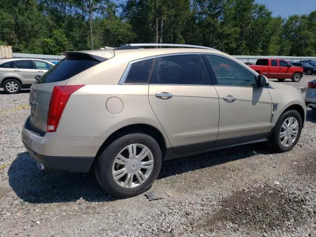 2011 CADILLAC SRX LUXURY COLLECTION  