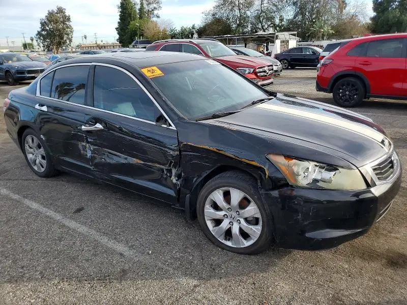 2010 HONDA ACCORD EXL  