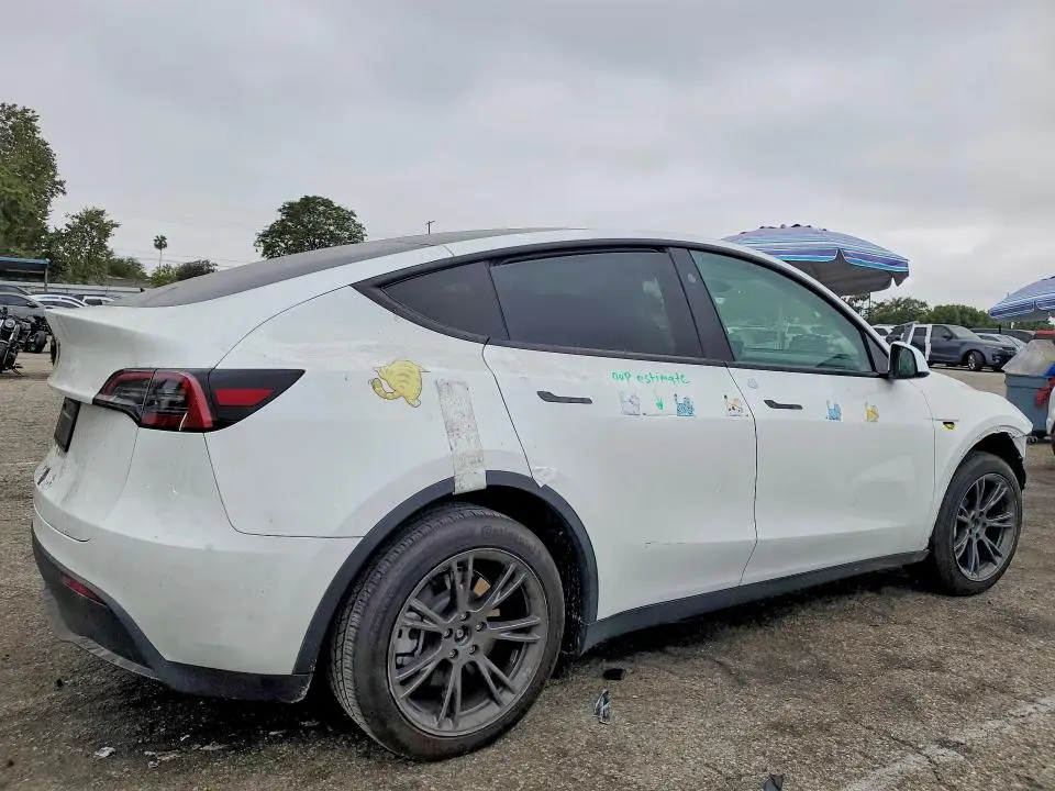 2024 TESLA MODEL Y   