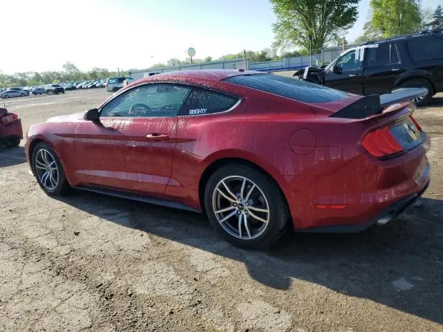 2019 FORD MUSTANG   