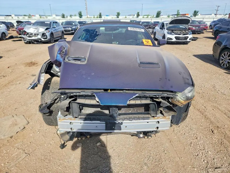 2019 FORD MUSTANG   