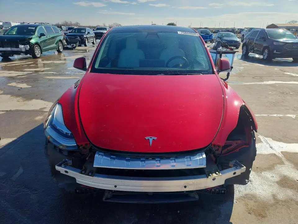 2021 TESLA MODEL Y   