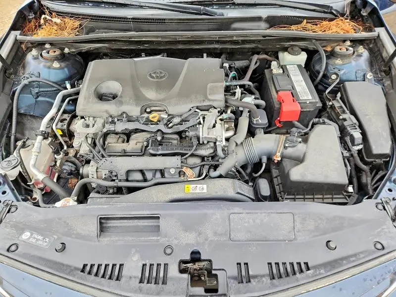 2019 TOYOTA CAMRY LE  