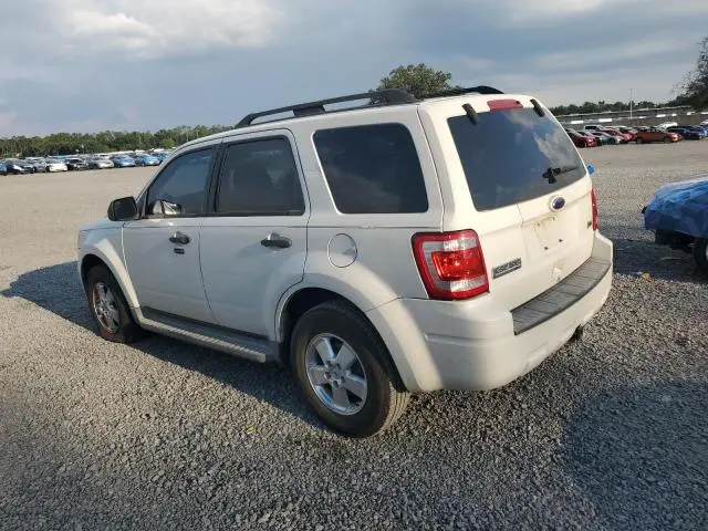 2011 FORD ESCAPE XLT  