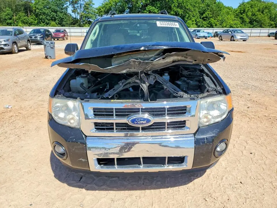 2010 FORD ESCAPE LIMITED  