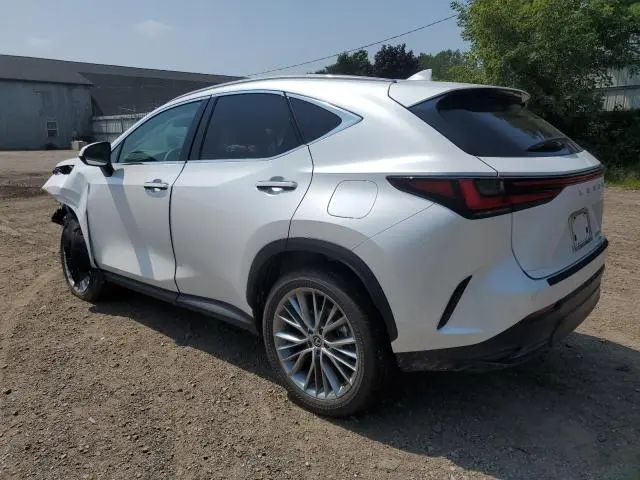 2025 LEXUS NX 350H BASE  