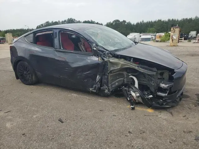2024 TESLA MODEL Y   