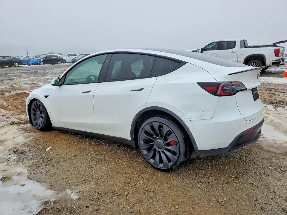 2024 TESLA MODEL Y   
