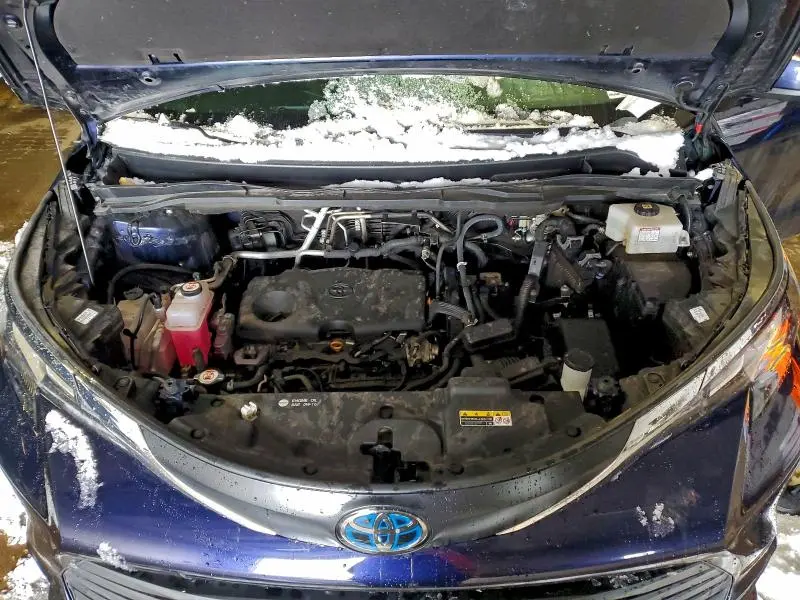 2023 TOYOTA SIENNA XLE  