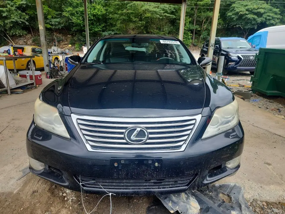2010 LEXUS LS 460  