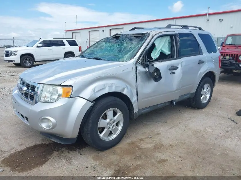 2011 FORD ESCAPE XLT