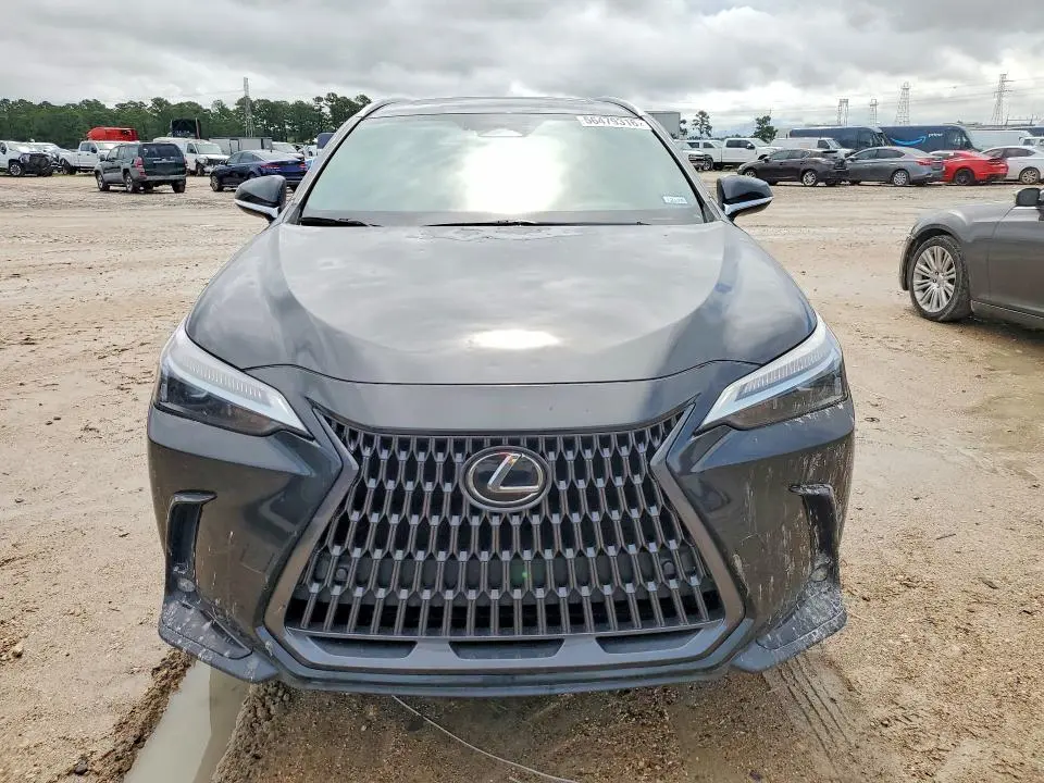 2024 LEXUS NX   