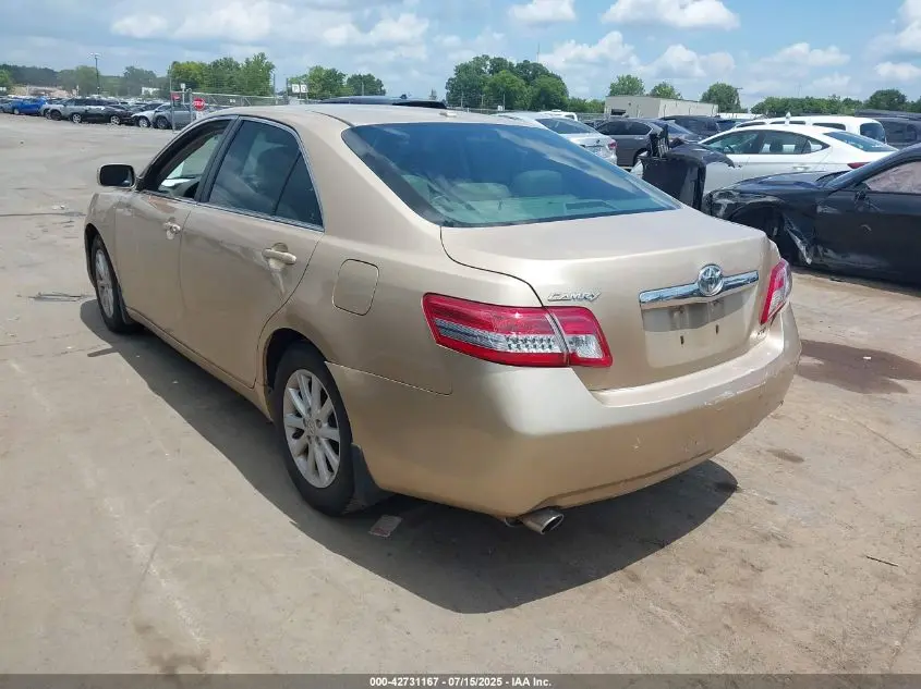 2010 TOYOTA CAMRY XLE V6