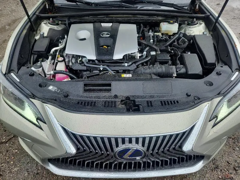 2019 LEXUS ES 300H  