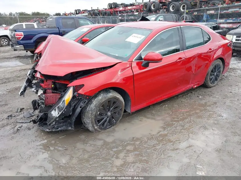 2024 TOYOTA CAMRY LE