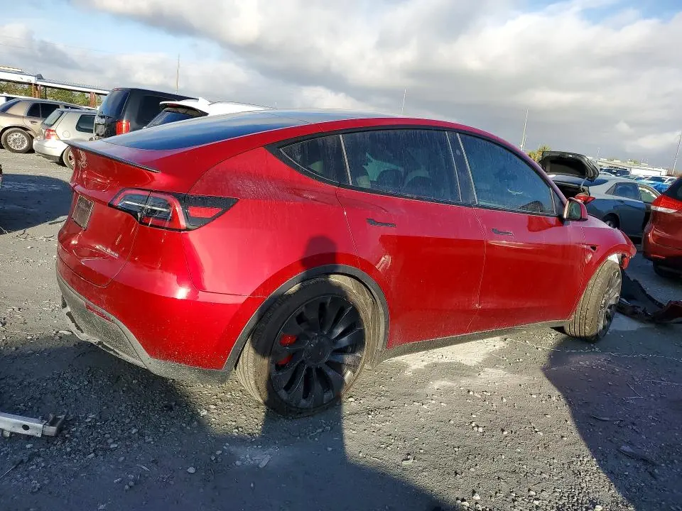 2025 TESLA MODEL Y   