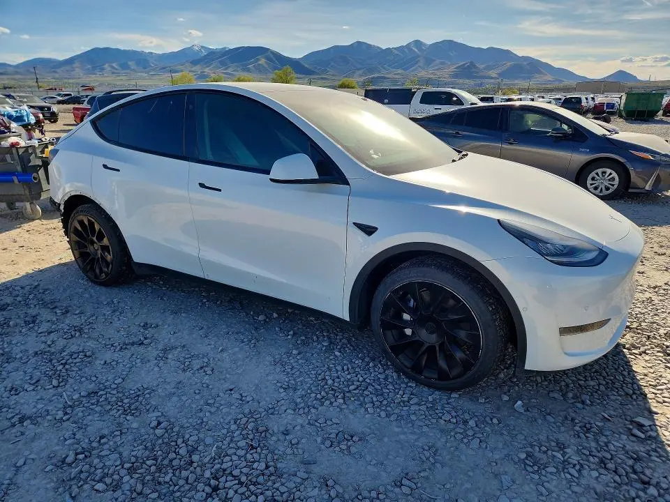2021 TESLA MODEL Y   