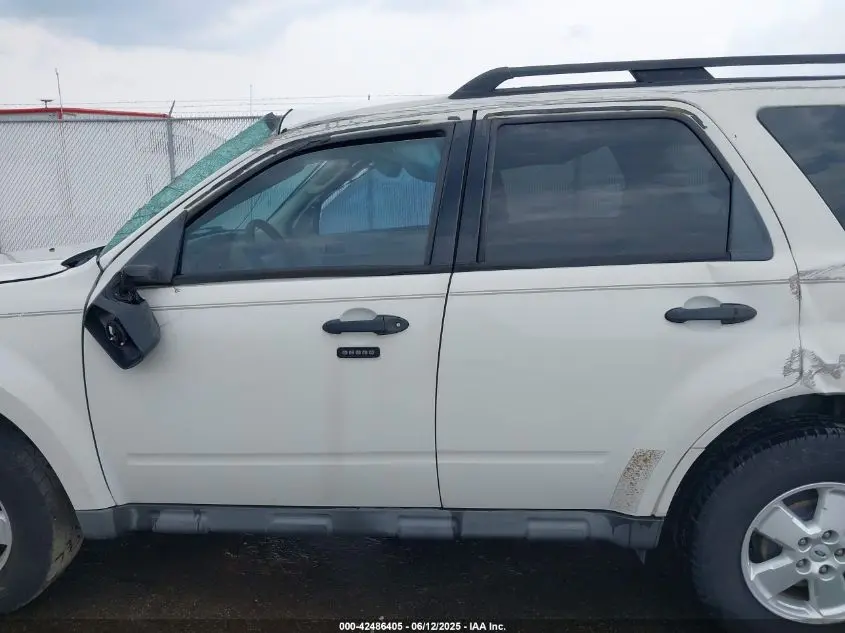 2010 FORD ESCAPE XLT