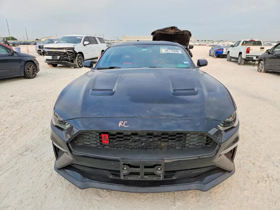 2019 FORD MUSTANG   