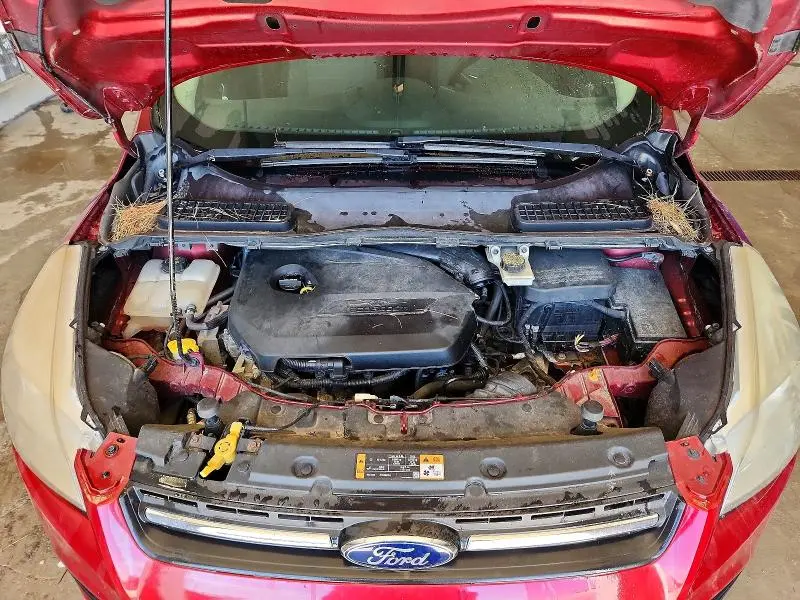 2014 FORD ESCAPE SE  