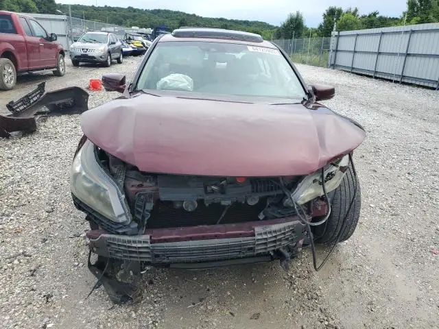 2013 HONDA ACCORD EXL  