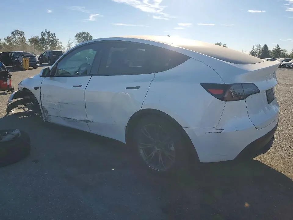 2025 TESLA MODEL Y   