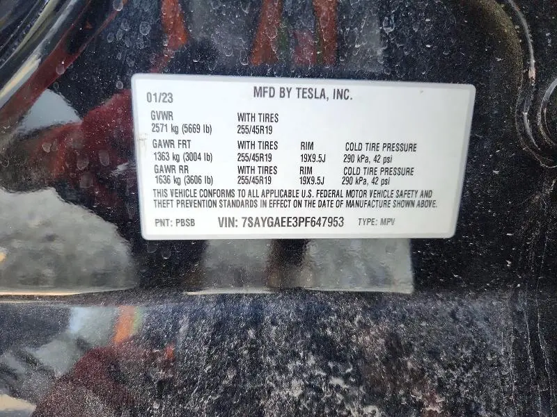 2023 TESLA MODEL Y   