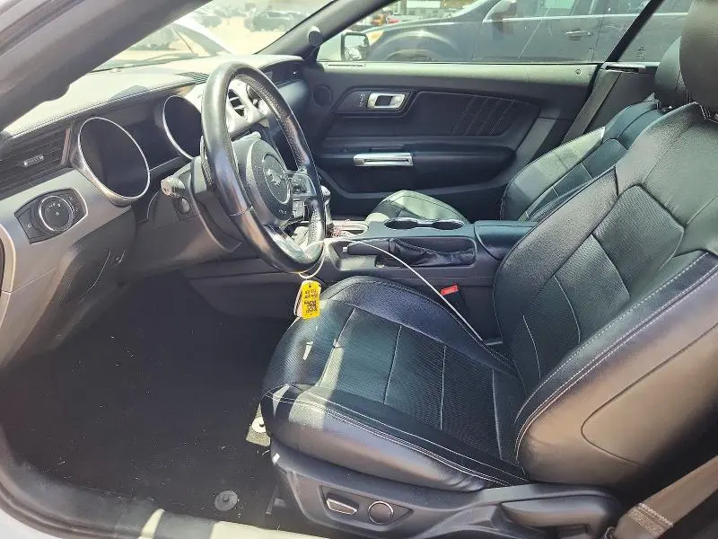 2019 FORD MUSTANG   