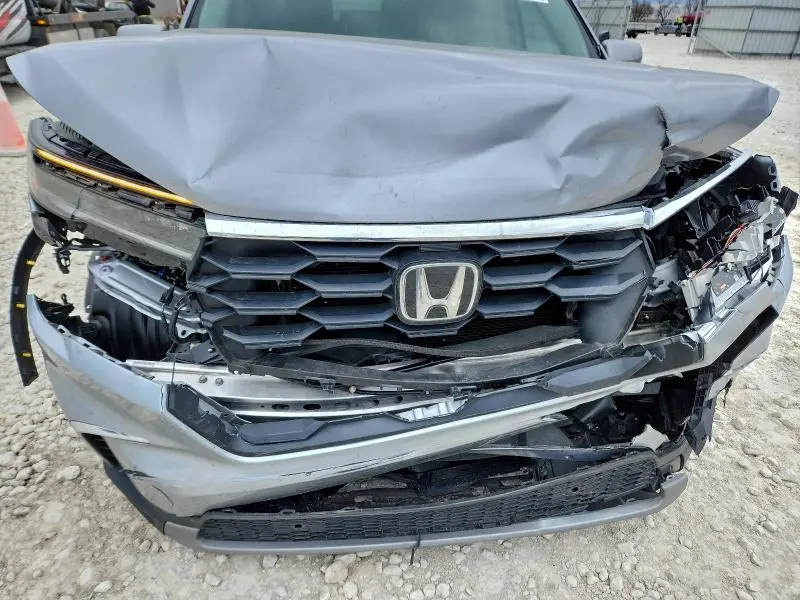 2025 HONDA PILOT EXL  