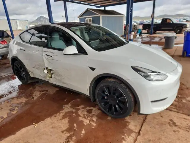 2020 TESLA MODEL Y   