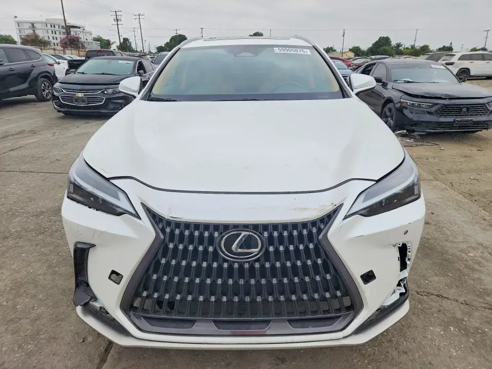 2024 LEXUS NX 350H PREMIUM  
