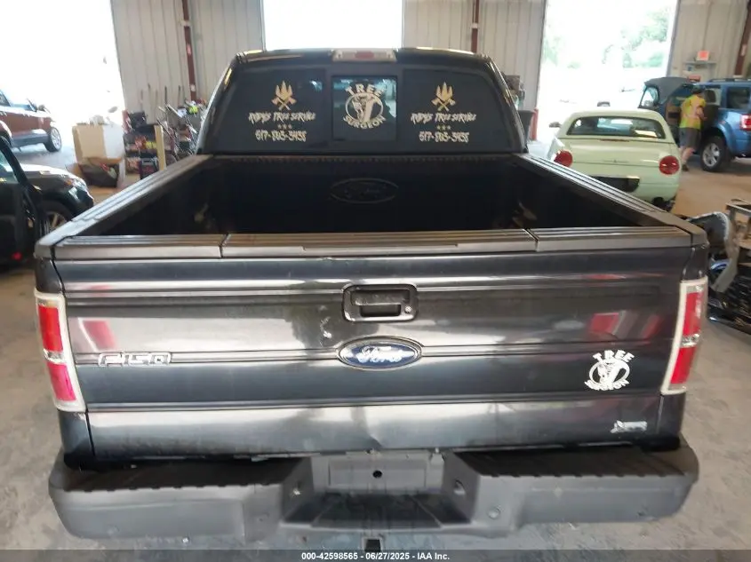 2010 FORD F-150 FX4/HARLEY-DAVIDSON/KING RANCH/LARIAT/PLATINUM/XL/XLT