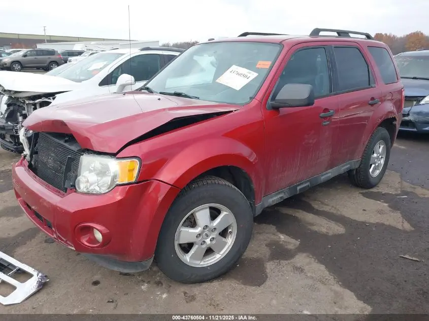 2012 FORD ESCAPE XLT