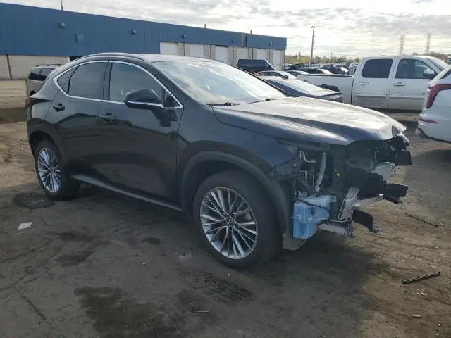2022 LEXUS NX 350  