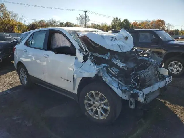 2019 CHEVROLET EQUINOX LS  