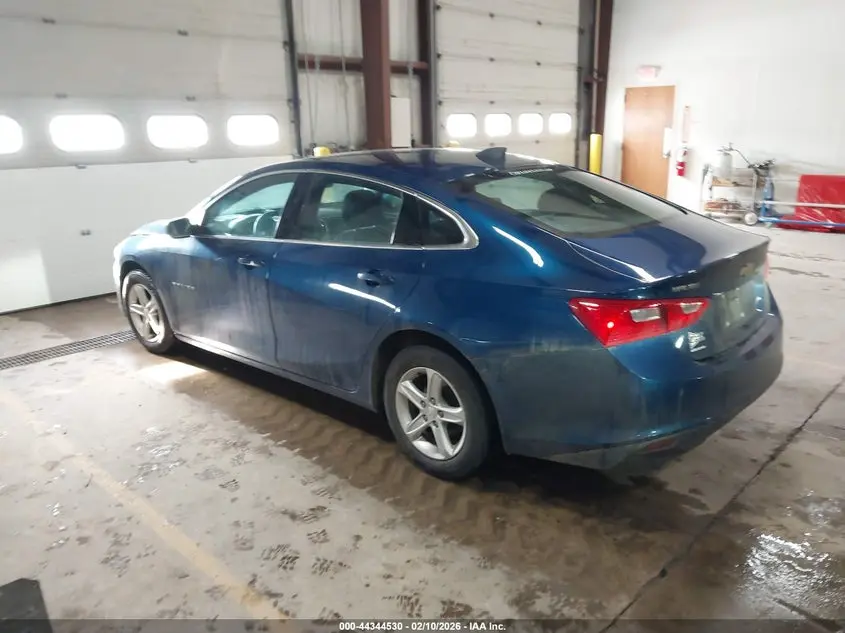 2019 CHEVROLET MALIBU 1FL
