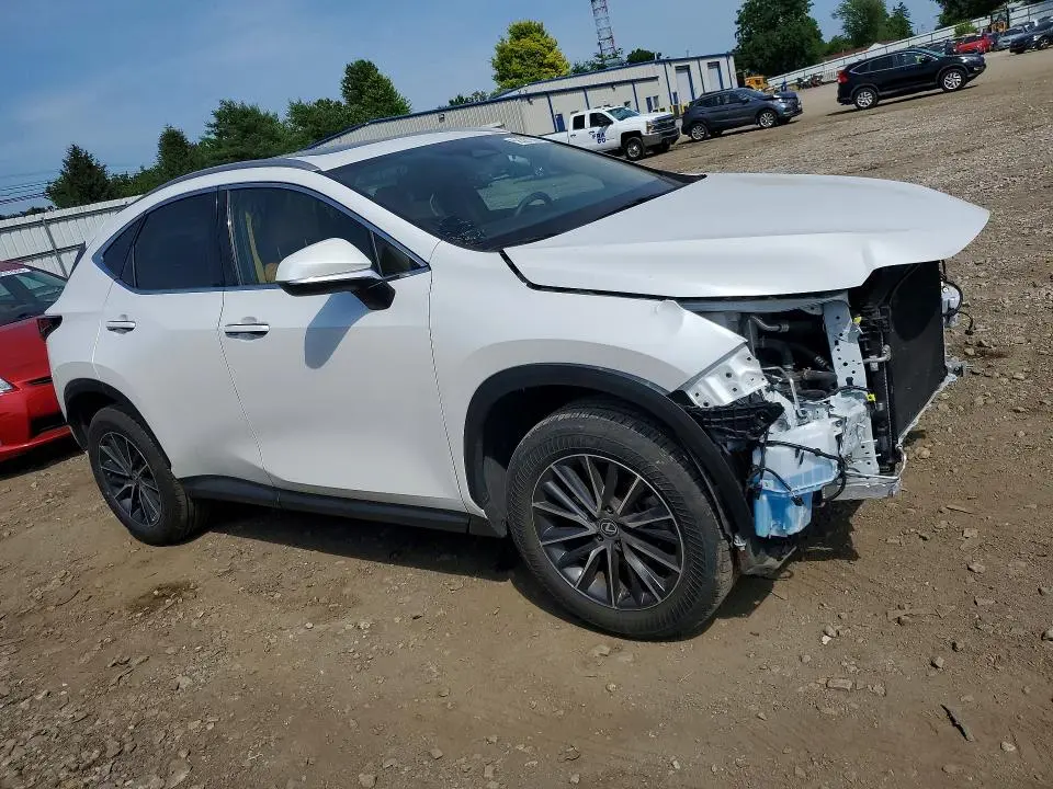 2024 LEXUS NX 350H PREMIUM  