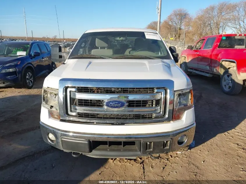 2014 FORD F-150 XLT