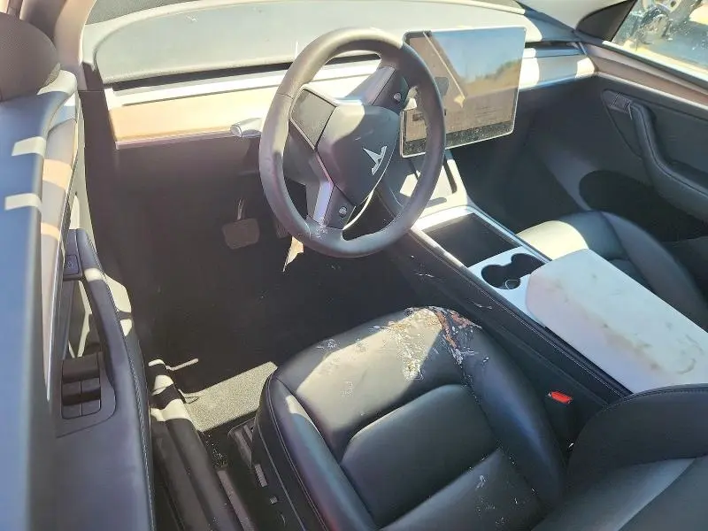 2025 TESLA MODEL Y   