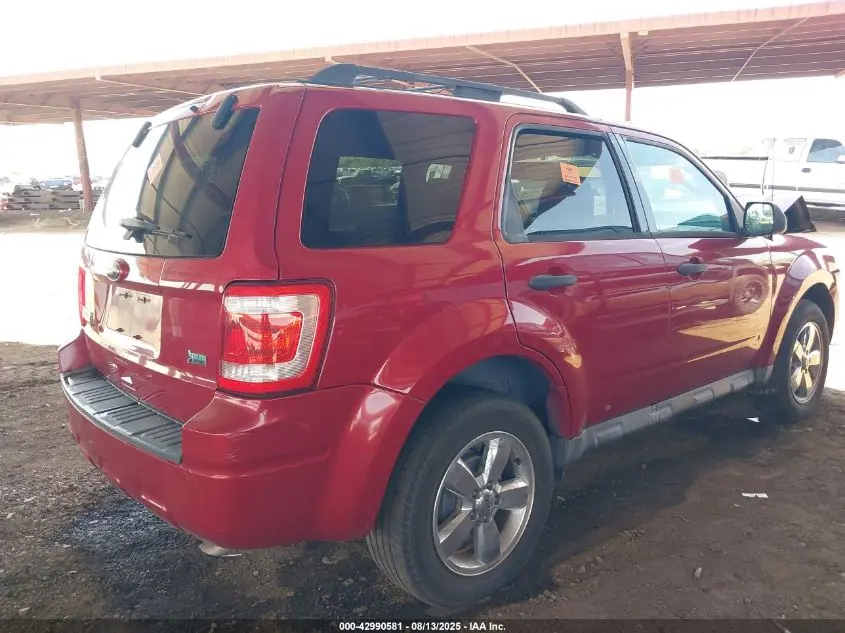 2010 FORD ESCAPE XLT