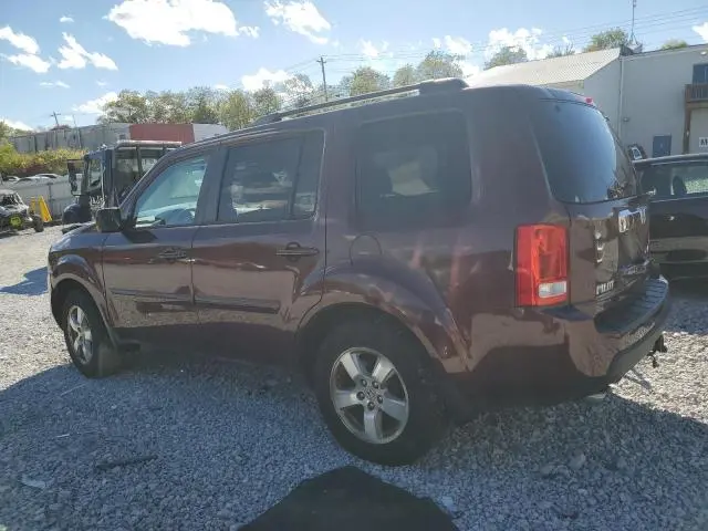 2011 HONDA PILOT EXL  