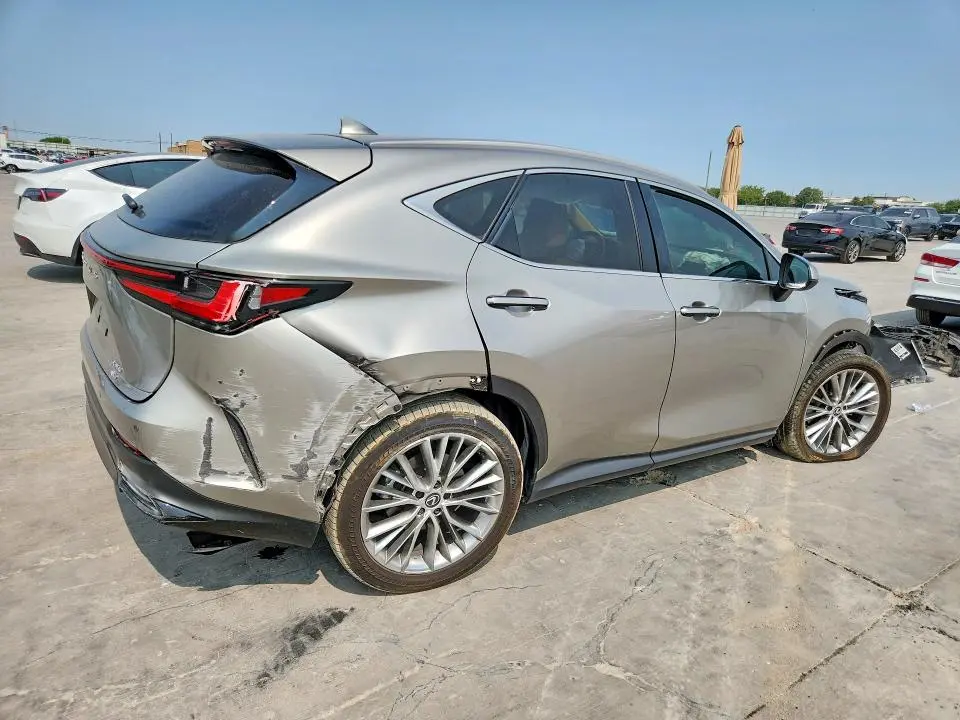 2025 LEXUS NX 350 LUXURY  