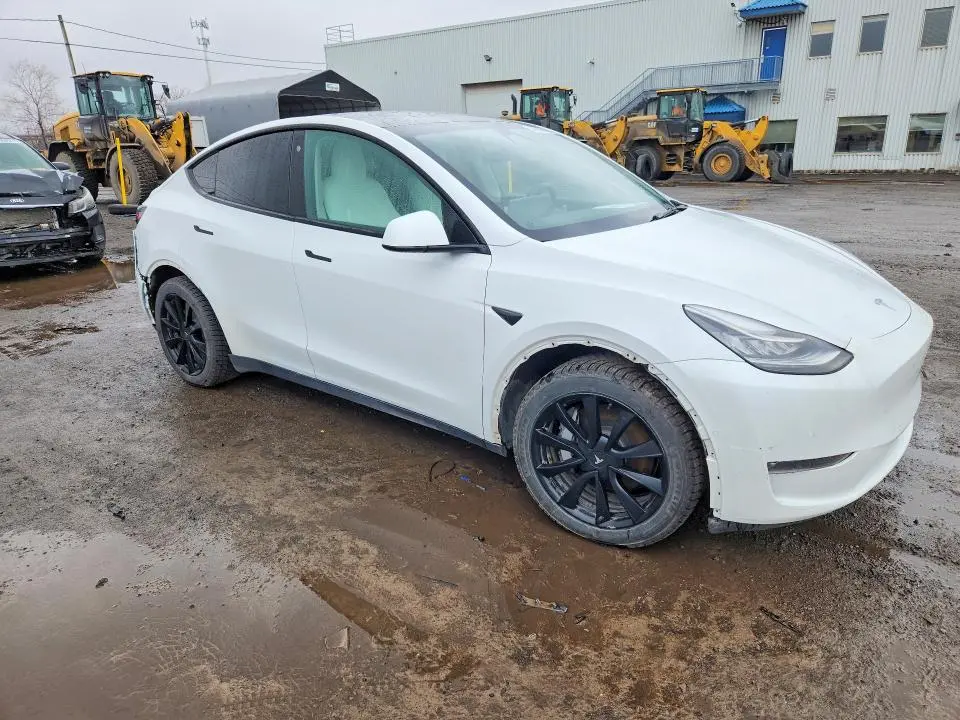 2021 TESLA MODEL Y   
